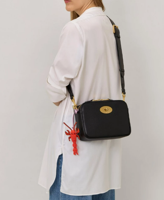 MULBERRY DARLEY CAMERA BAG