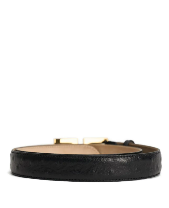 LOGO BELT