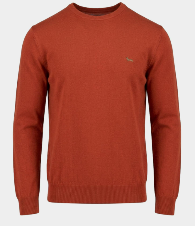 MAGLIA UOMO 