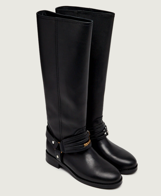 CHEVAL 01 