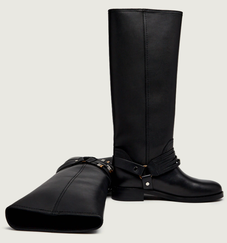 CHEVAL 01 