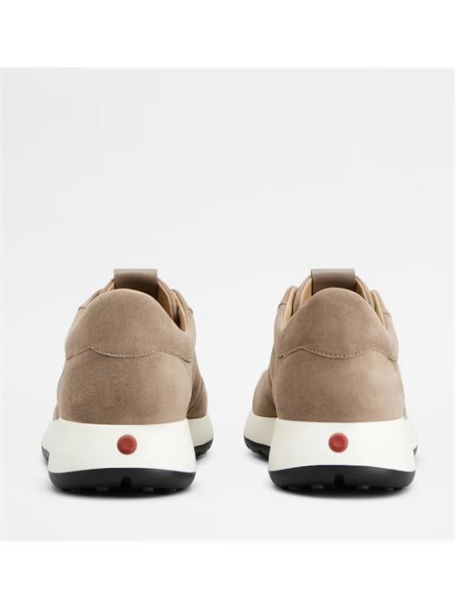 SUEDE SNEAKERS TODS | XXM79K0IP51J17553J553J
